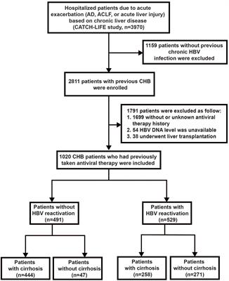 Hepatitis B Virus Reactivation Increased the Risk of Developing Hepatic Failure and Mortality in Cirrhosis With Acute Exacerbation